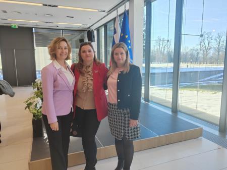 Županja občine Osilnica, podžupanja občine Loški Potok, županja občine Kostel